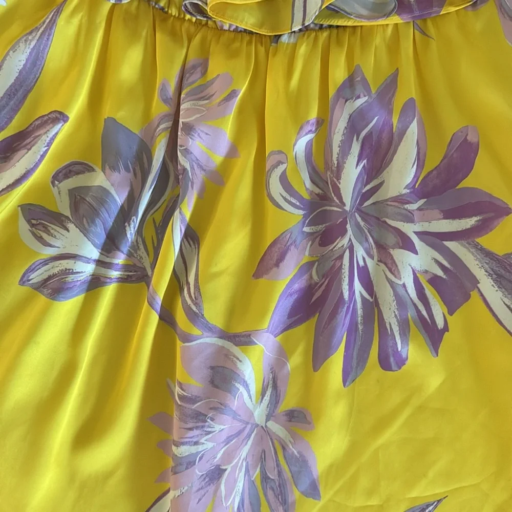 House of Harlow x Revolve Dress - Picture 3 of 4